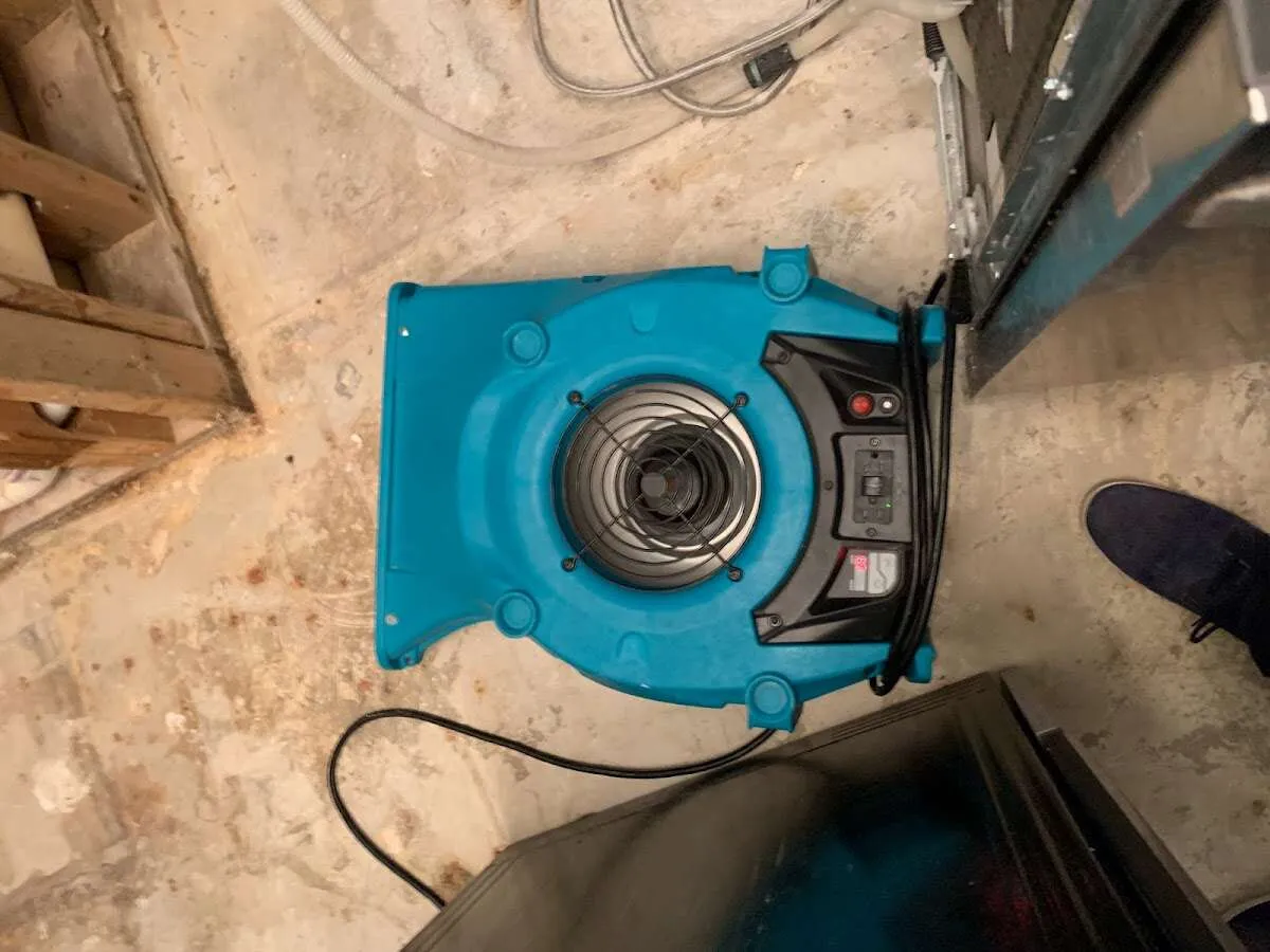 Air mover drying equipment for Mold Remediation & Removal in Pomfret